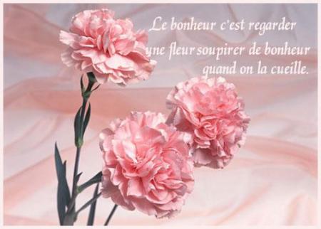 La v�ritable amiti� est pure.